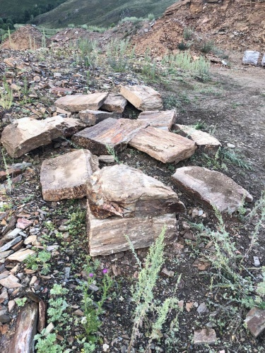 Плитняк кора дерева 50-100мм для пошаговых дорожек купить в Видном